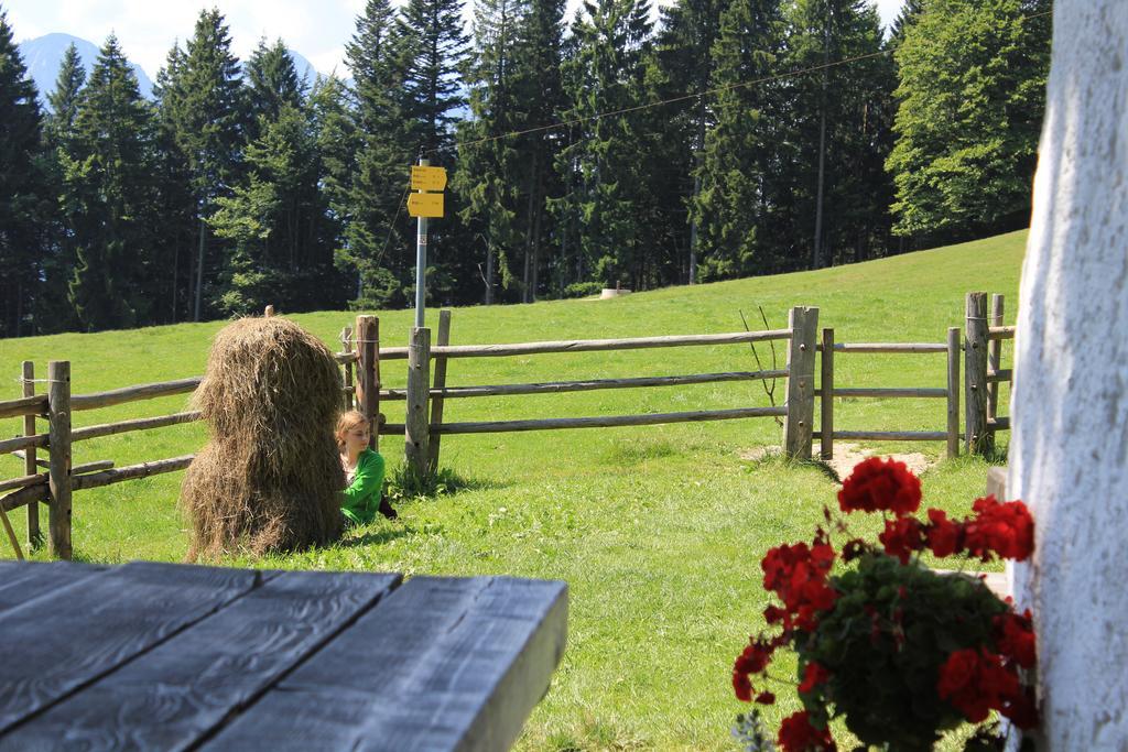 Apartment Andrea - Chiemgau Karte Inzell Rom bilde