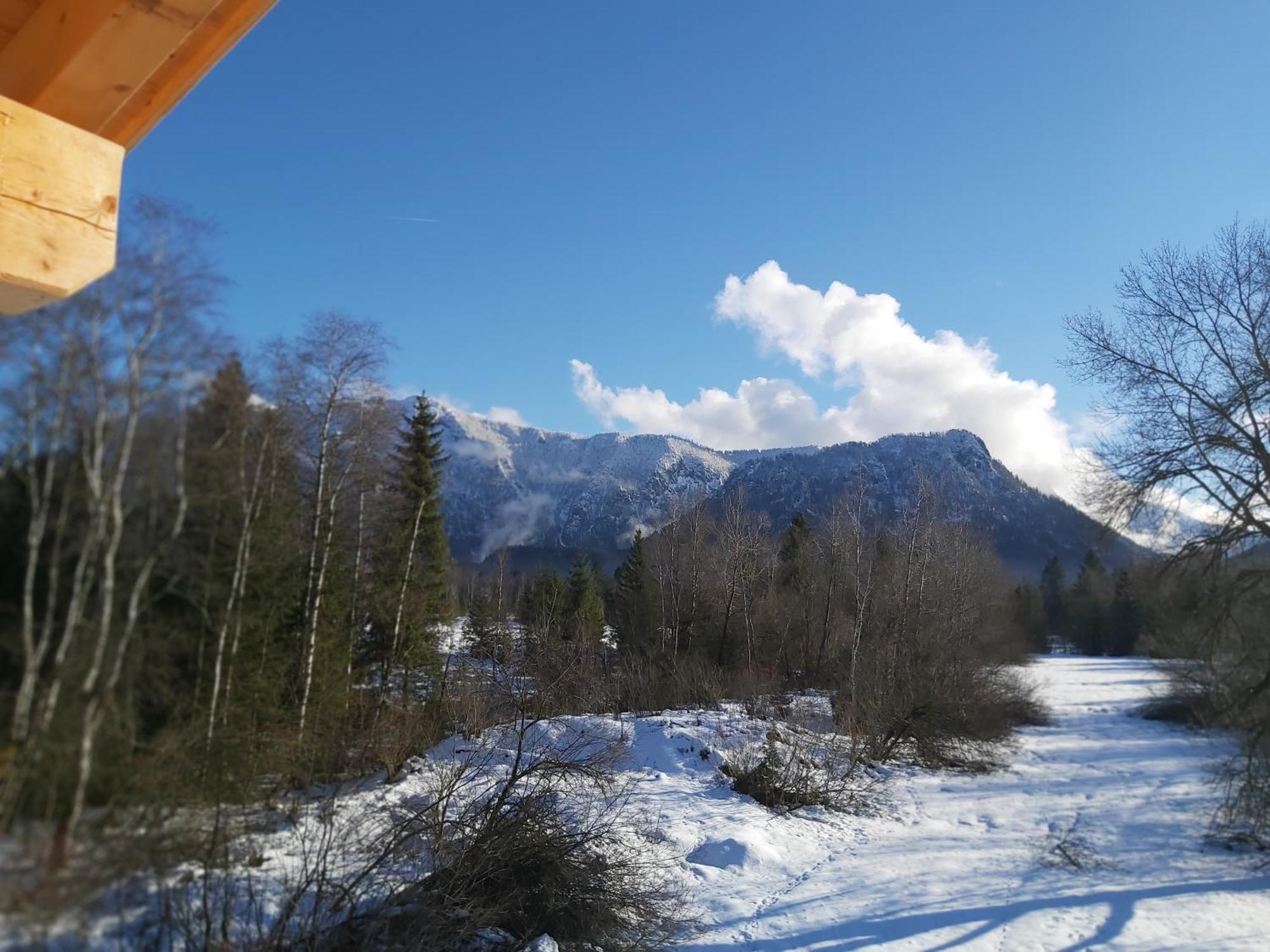 Apartment Andrea - Chiemgau Karte Inzell Eksteriør bilde