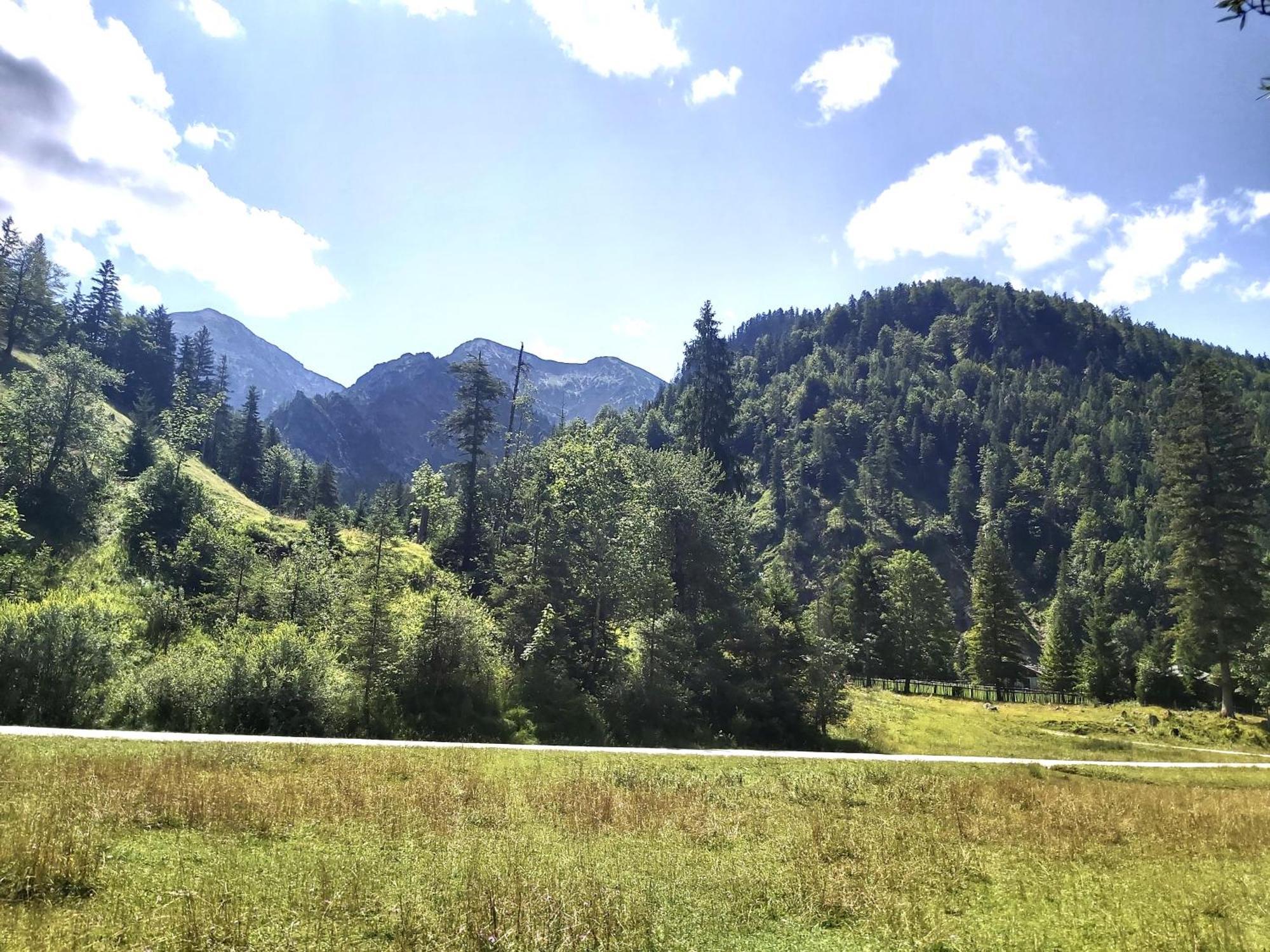 Apartment Andrea - Chiemgau Karte Inzell Eksteriør bilde