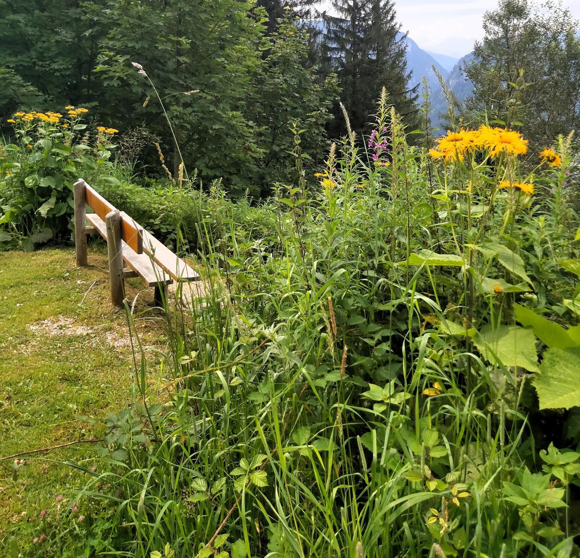 Apartment Andrea - Chiemgau Karte Inzell Eksteriør bilde