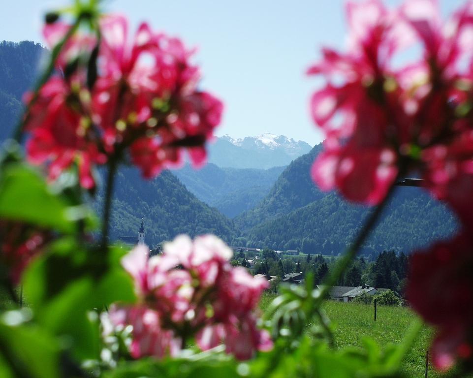 Apartment Andrea - Chiemgau Karte Inzell Eksteriør bilde