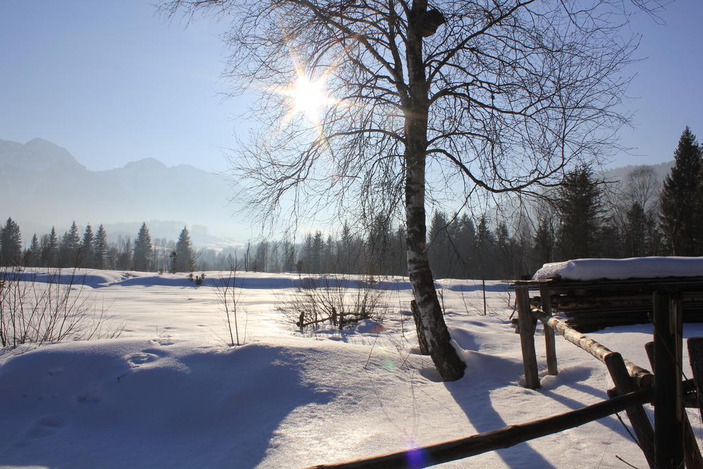 Apartment Andrea - Chiemgau Karte Inzell Eksteriør bilde