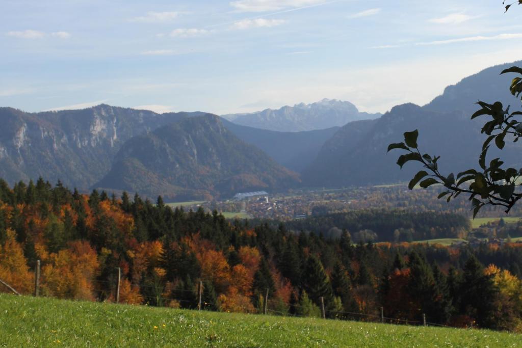 Apartment Andrea - Chiemgau Karte Inzell Eksteriør bilde