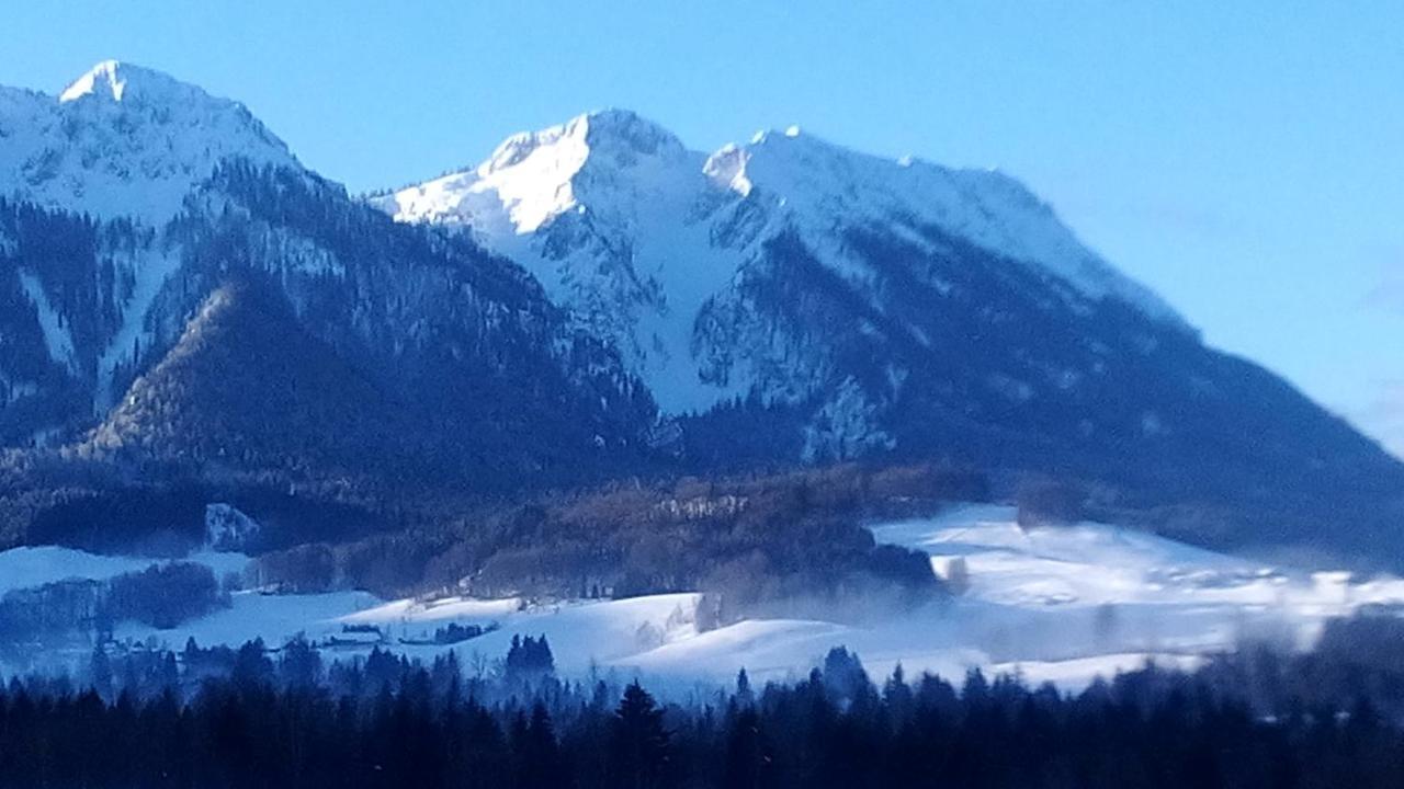 Apartment Andrea - Chiemgau Karte Inzell Eksteriør bilde